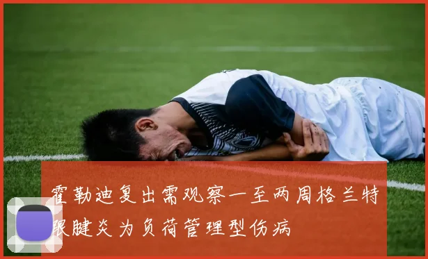 霍勒迪复出需观察一至两周格兰特跟腱炎为负荷管理型伤病